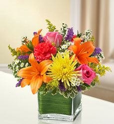 Healing Tears - Bright Flower Power, Florist Davenport FL